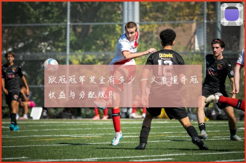 欧冠冠军奖金有多少 一文看懂夺冠收益与分配规则