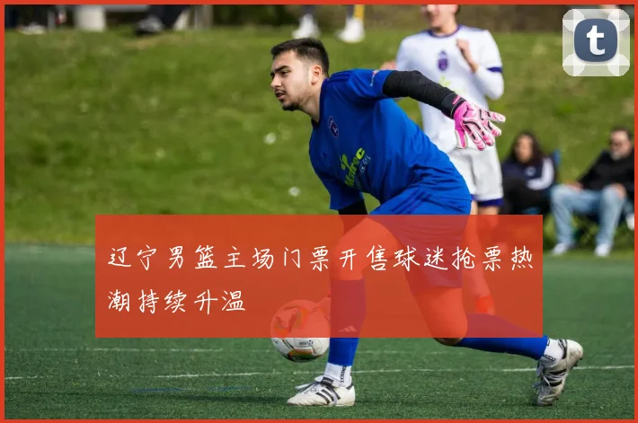 辽宁男篮主场门票开售球迷抢票热潮持续升温