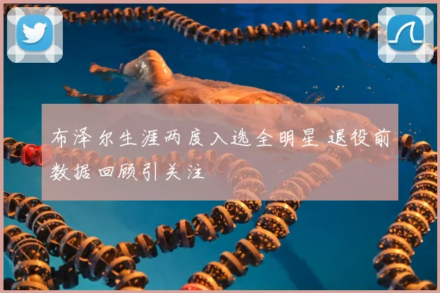 布泽尔生涯两度入选全明星 退役前数据回顾引关注