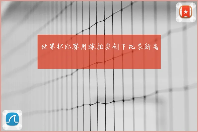 世界杯比赛用球拍卖创下纪录新高
