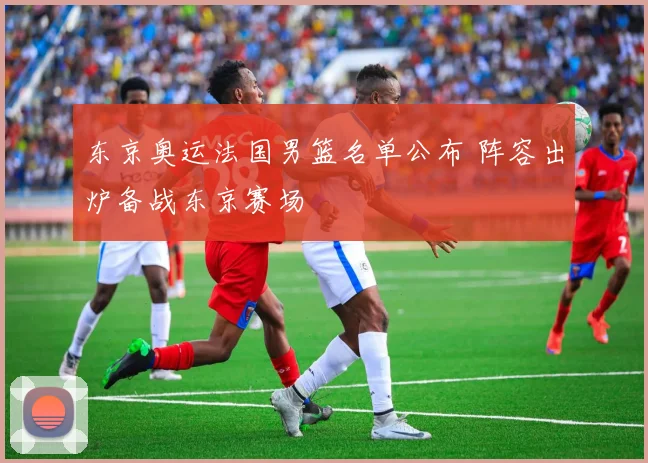 东京奥运法国男篮名单公布 阵容出炉备战东京赛场